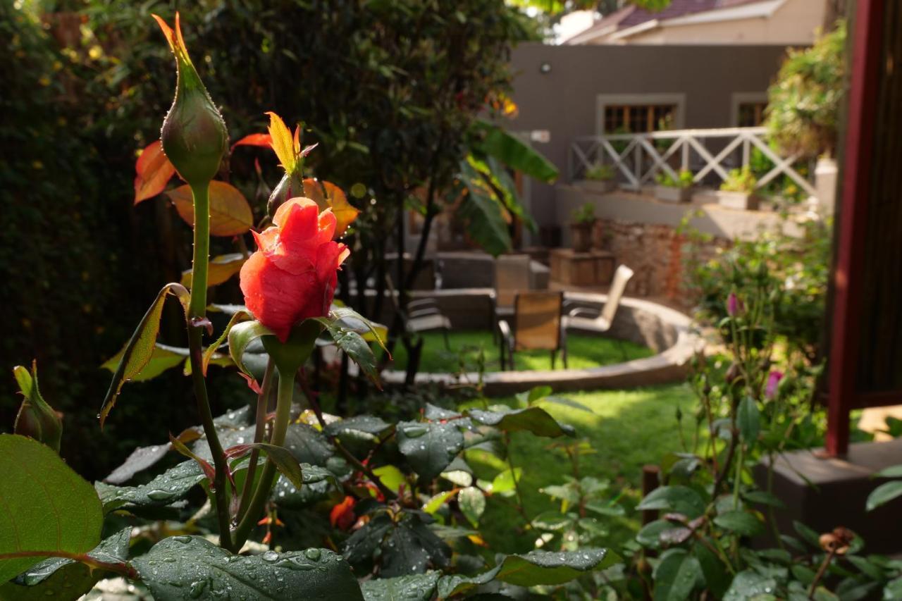 7Th Street Guesthouse Johannesburg Exterior foto